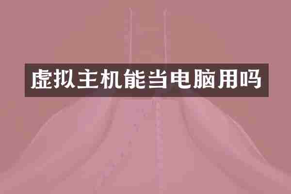 虚拟主机能当电脑用吗