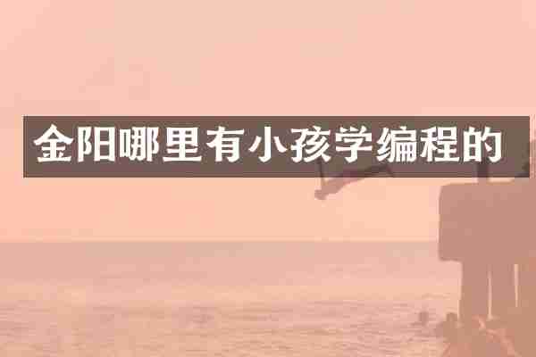 金阳哪里有小孩学编程的