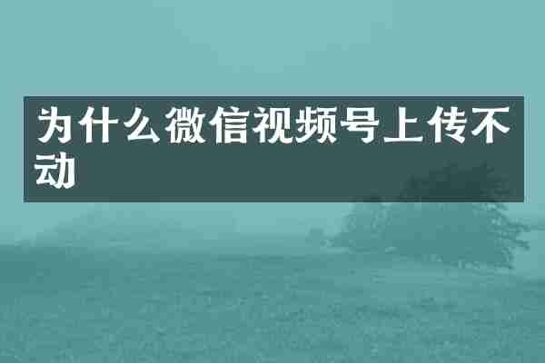 为什么微信视频号上传不动