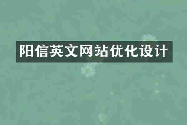 阳信英文网站优化设计