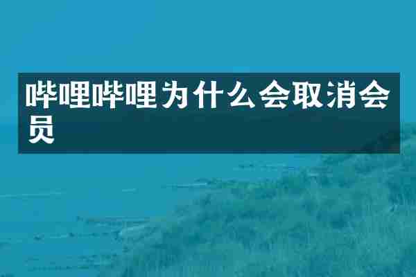 哔哩哔哩为什么会取消会员