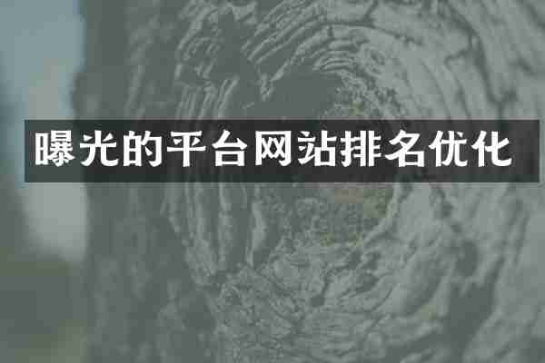 曝光的平台网站排名优化
