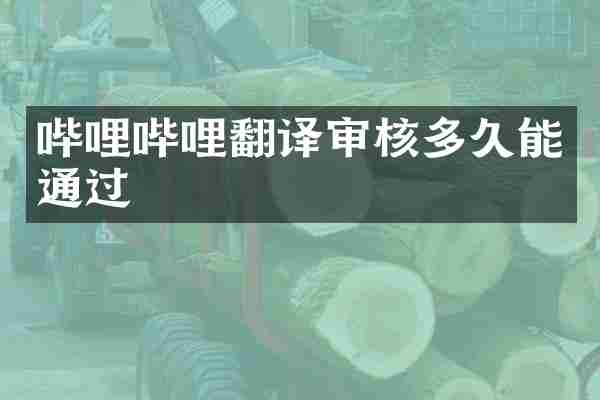 哔哩哔哩翻译审核多久能通过
