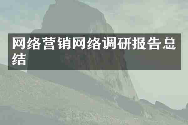 网络营销网络调研报告总结