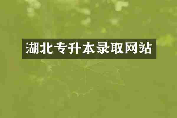 湖北专升本录取网站