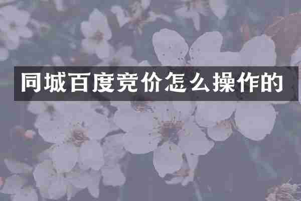 同城百度竞价怎么操作的