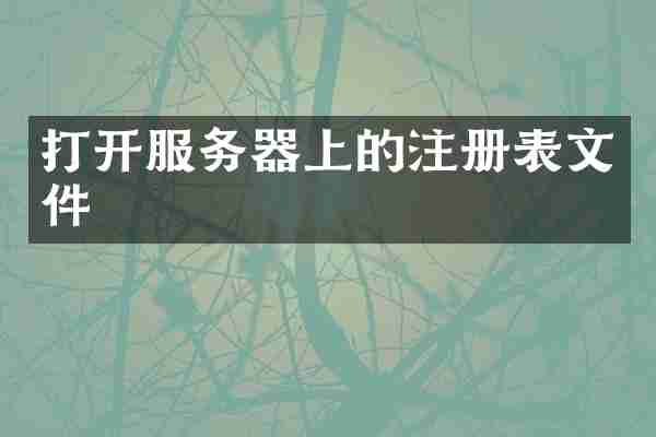 打开服务器上的注册表文件