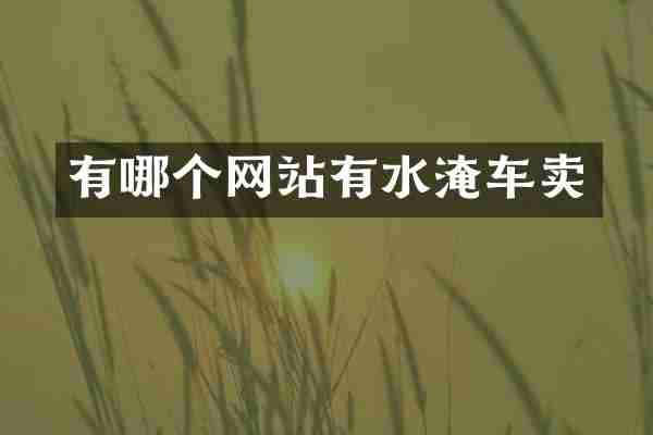 有哪个网站有水淹车卖
