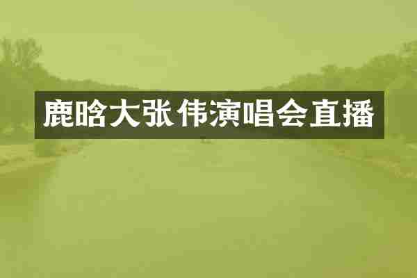 鹿晗大张伟演唱会直播