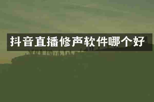 抖音直播修声软件哪个好