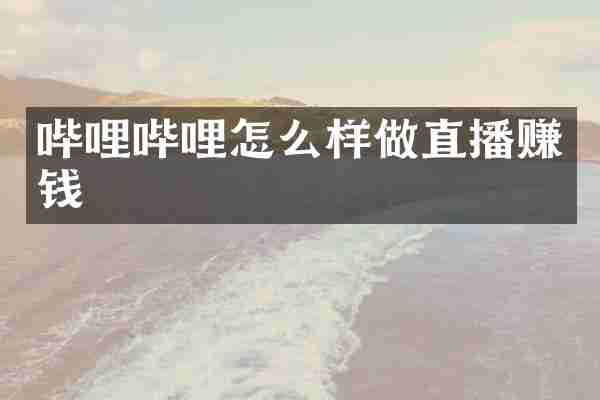 哔哩哔哩怎么样做直播赚钱