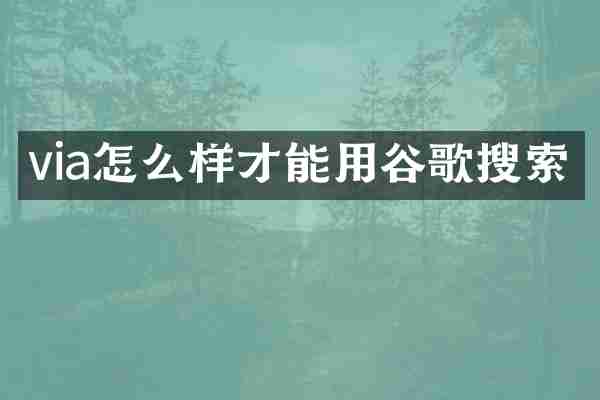 via怎么样才能用谷歌搜索