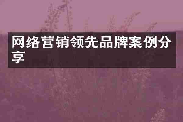 网络营销领先品牌案例分享