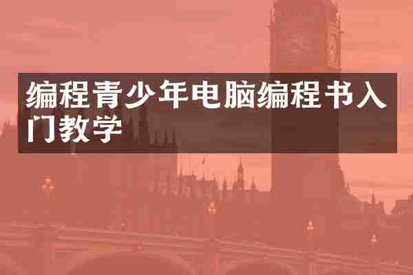 编程青少年电脑编程书入门教学