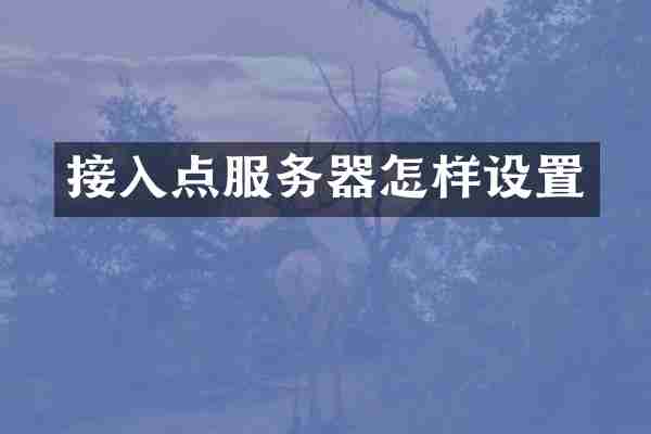 接入点服务器怎样设置