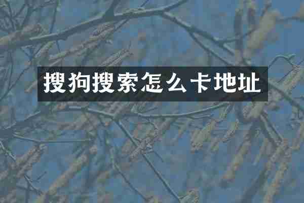 搜狗搜索怎么卡地址