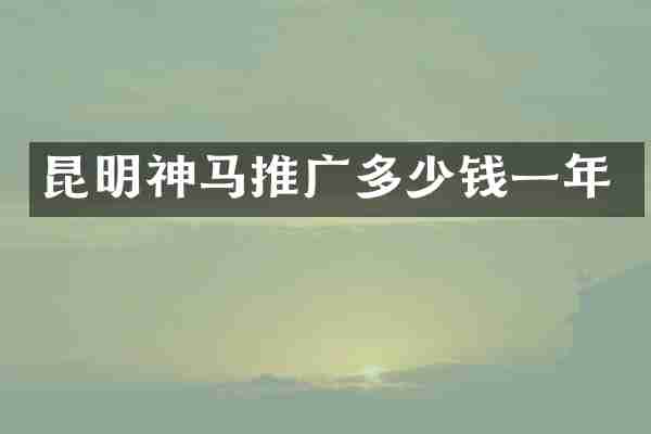 昆明神马推广多少钱一年