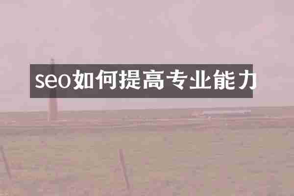 seo如何提高专业能力