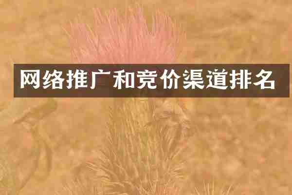网络推广和竞价渠道排名