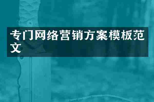 专门网络营销方案模板范文