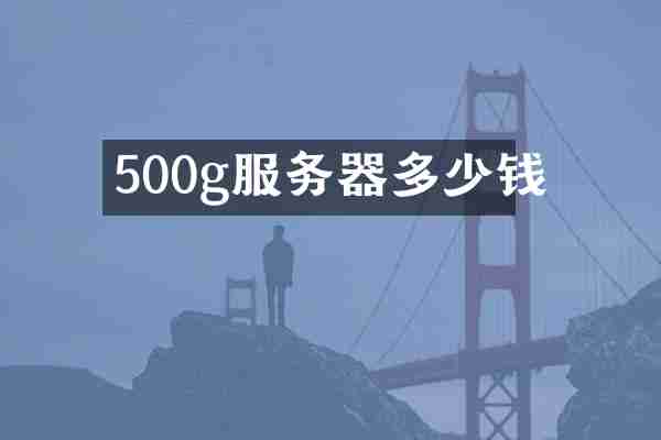 500g服务器多少钱