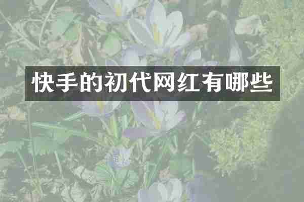 快手的初代网红有哪些