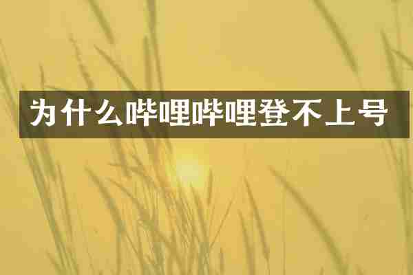 为什么哔哩哔哩登不上号