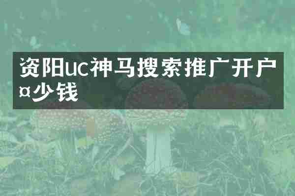 资阳uc神马搜索推广开户多少钱