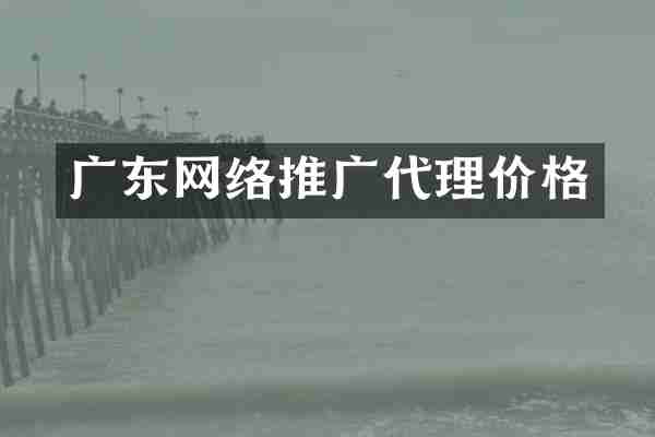 广东网络推广代理价格