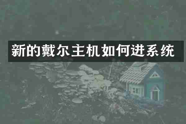 新的戴尔主机如何进系统