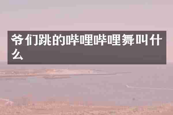 爷们跳的哔哩哔哩舞叫什么