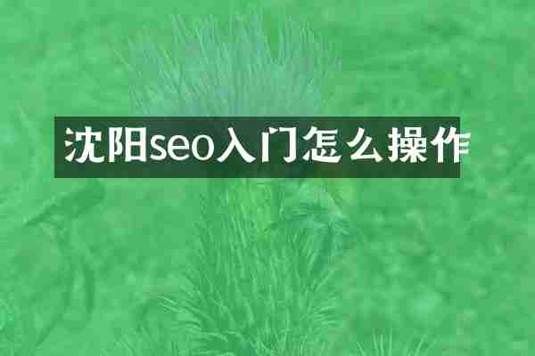 沈阳seo入门怎么操作