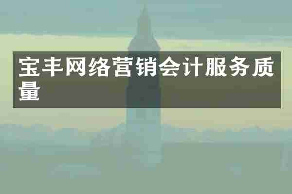 宝丰网络营销会计服务质量
