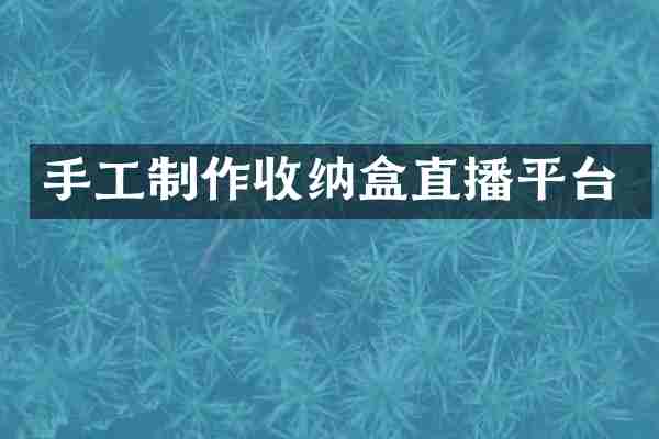 手工制作收纳盒直播平台