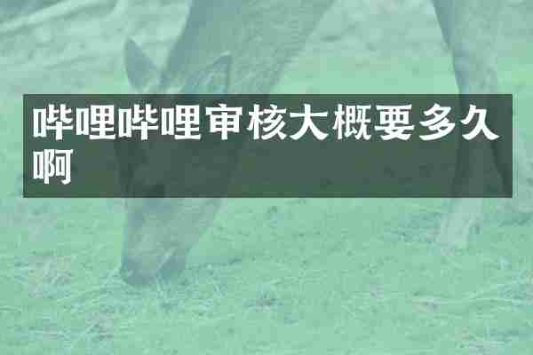 哔哩哔哩审核大概要多久啊