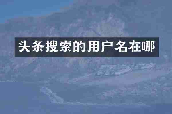 头条搜索的用户名在哪