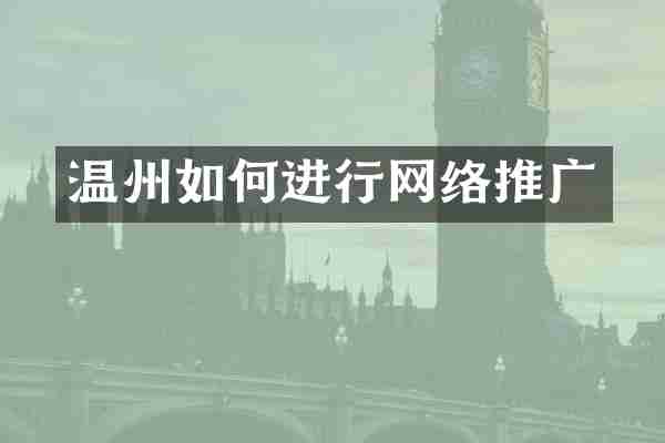 温州如何进行网络推广