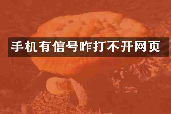 手机有信号咋打不开网页