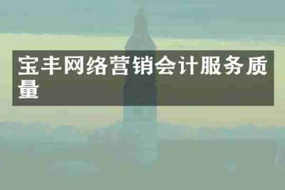 宝丰网络营销会计服务质量