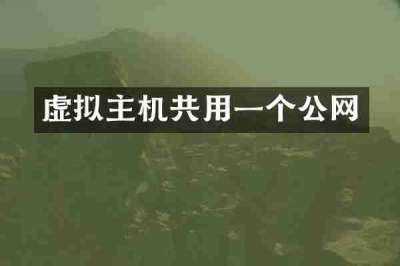虚拟主机共用一个公网