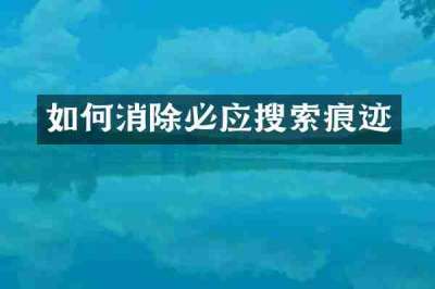 如何消除必应搜索痕迹