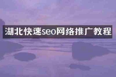 湖北快速seo网络推广教程