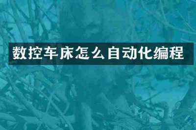 数控车床怎么自动化编程