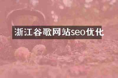 浙江谷歌网站seo优化