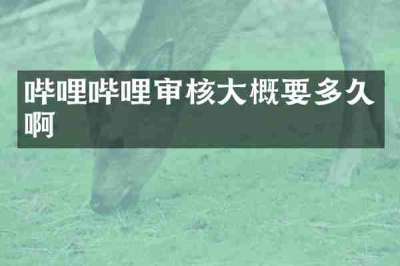 哔哩哔哩审核大概要多久啊