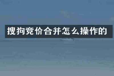 搜狗竞价合并怎么操作的