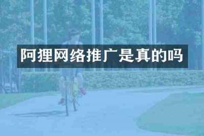 阿狸网络推广是真的吗