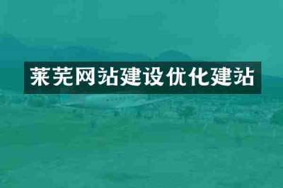 莱芜网站建设优化建站