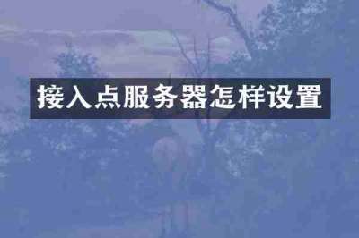 接入点服务器怎样设置
