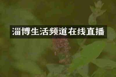 淄博生活频道在线直播